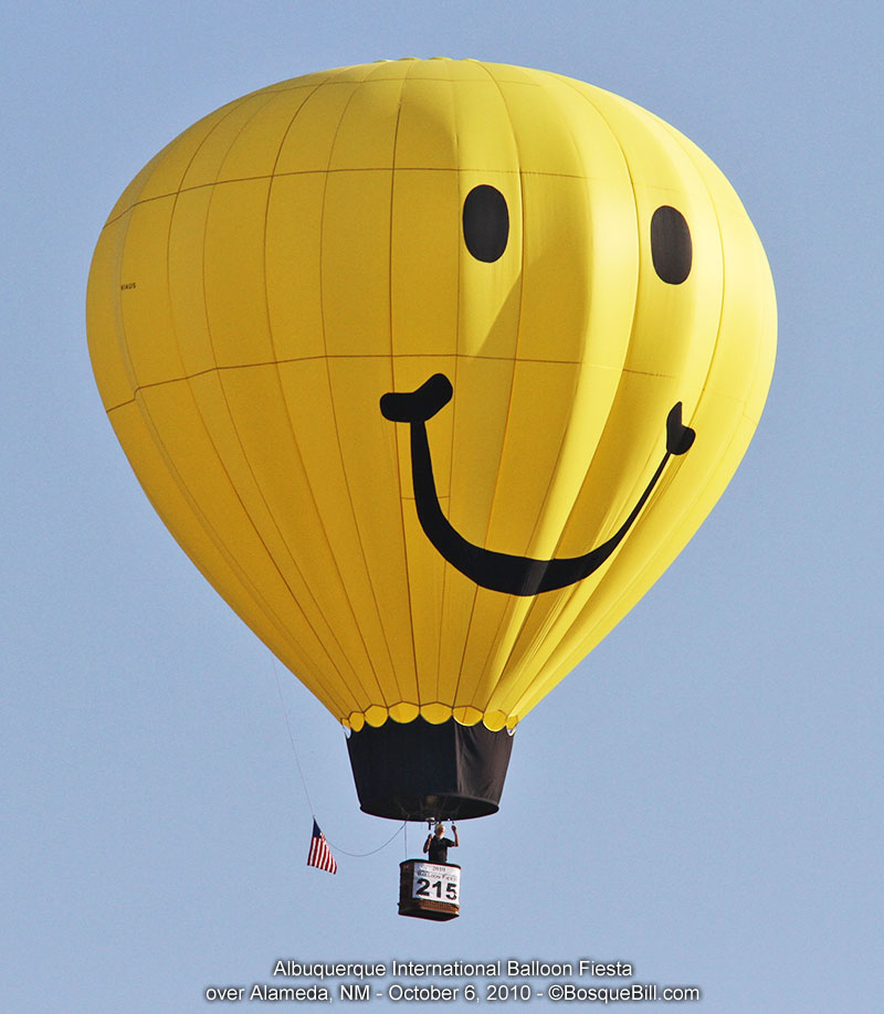 hot air balloon