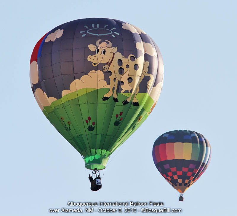 hot air balloon