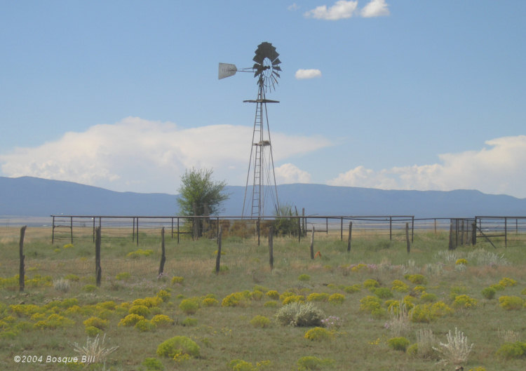 Windmill in Eastern New Mexico